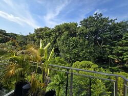 The Foresta @ Mount Faber (D4), Condominium #485962971
